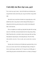 Cách diệt sâu Bore hại cam, quýt pot