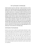 Bàn về quyền lập pháp và mô hình lập pháp pptx