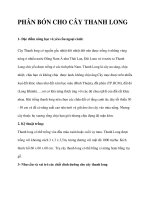 PHÂN BÓN CHO CÂY THANH LONG pot