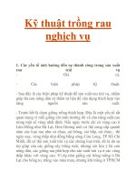 Kỹ thuật trồng rau nghịch vụ doc