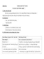 TIẾT 59 :TỔNG KẾT TỪ VỰNG LUYỆN TẬP TỔNG HỢP pot