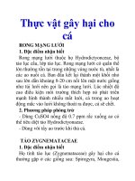 Thực vật gây hại cho cá pot