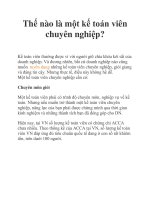 Thế nào là một kế toán viên chuyên nghiệp? ppt