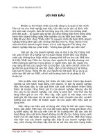 Cấu trúc vốn và chi phí sử dụng vốn! pot