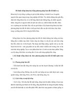 Mô hình trồng khoai tây bằng phương pháp làm đất tối thiểu vụ pdf