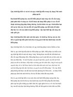 Quy trình lập hiến và vai trò của quy trình lập hiến trong xây dựng Nhà nước pháp quyền pdf