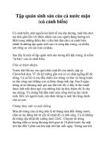 Tập quán sinh sản của cá nước mặn (cá cảnh biển) docx