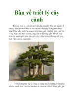 Bàn về triết lý cây cảnh docx