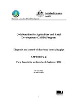 Báo cáo nghiên cứu khoa học 