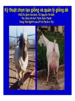 Kỹ thuật chọn tạo giống và quản lý giống dê potx