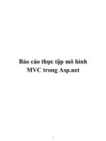 Báo cáo thực tập mô hình MVC trong Asp.net ppt