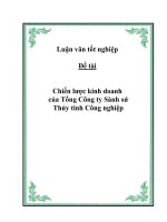 Đề tài: “Chiến lược kinh doanh của Tổng Công ty Sành sứ Thủy tinh Công nghiệp” doc