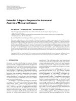 Báo cáo hóa học: 