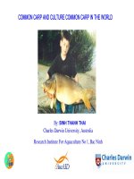 Báo cáo nghiên cứu khoa học 