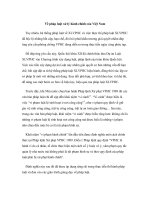 Về pháp luật xử lý hành chính của Việt Nam doc