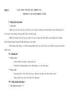 CÁC YẾU TỐ TỰ SỰ, MIÊU TẢ TRONG VĂN BẢN BIỂU CẢM ppt