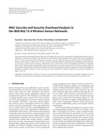 Báo cáo hóa học: 