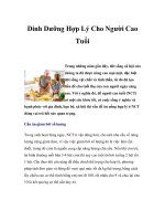 Dinh Dưỡng Hợp Lý Cho Người Cao Tuổi pdf