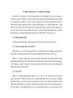 Vi phạm pháp luật và vi phạm hiến pháp potx