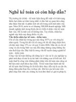 Nghề kế toán có còn hấp dẫn? doc