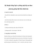 Kỹ thuật trồng Ngô vụ đông mật độ cao theo phương pháp đặt bầu chỉnh tán pptx