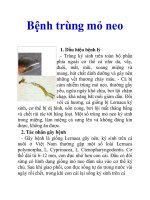 Bệnh trùng mỏ neo pdf