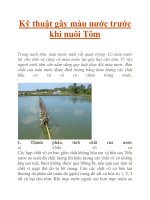 Kỹ thuật gây màu nước trước khi nuôi Tôm potx