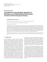 Báo cáo hóa học: 