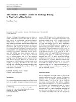 Báo cáo hóa học: 