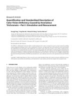 Báo cáo hóa học: 