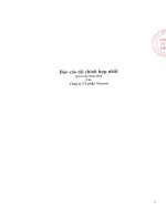 Báo cáo tài chính hợp nhất quí 2 của năm 2010 của công ty cổ phần vincom