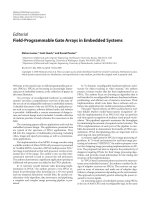 Báo cáo hóa học: 