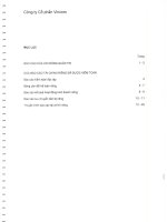 CÔNG TY cổ PHẦN VINCOM báo cáo của hội ĐỒNG QUẢN TRỊ và báo cáo tài chính riêng đã được kiểm toán ngày 31 12 2009