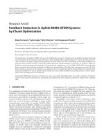 Báo cáo hóa học: 