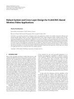 Báo cáo hóa học: 