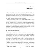 dịch vụ gia tăng trên nền gsm