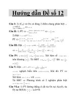 Hướng dẫn Đề số 12 pdf