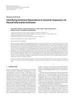 Báo cáo hóa học: 