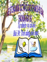 Giáo án tự nhiên xã hội lớp 1 