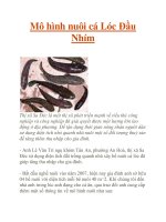 Mô hình nuôi cá Lóc Đầu Nhím ppt