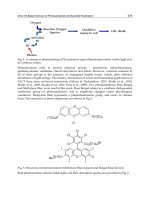Genetic Engineering Basics New Applications and Responsibilities Part 15 doc
