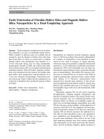 Báo cáo hóa học: 