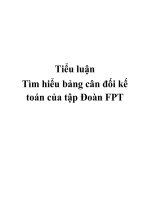 Tiểu luận Tìm hiểu bảng cân đối kế toán của tập Đoàn FPT