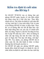 Kiểm tra định kì cuối năm cho HS lớp 5 pdf