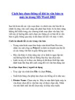 Cách lựa chọn thông số khi in văn bản ra máy in trong MS Word 2003 potx