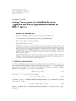 Báo cáo hóa học: 