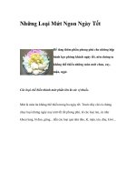 Những Loại Mứt Ngon Ngày Tết docx