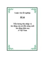 Đề tài: “Tiền lương thu nhập và tác động của nó đến năng suất lao động hiện nay ở Việt Nam” pot