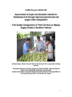 Báo cáo nghiên cứu khoa học 