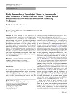 Báo cáo hóa học: 